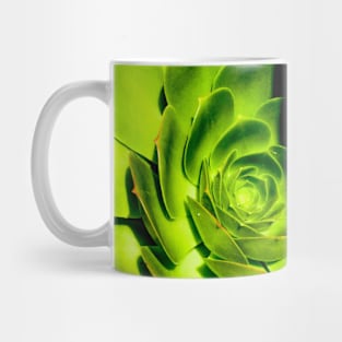 Succulent Darkside Mug